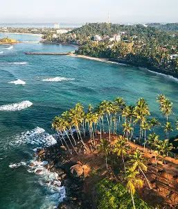 Aerial view of a coastal beach in southern Sri Lanka with palm trees